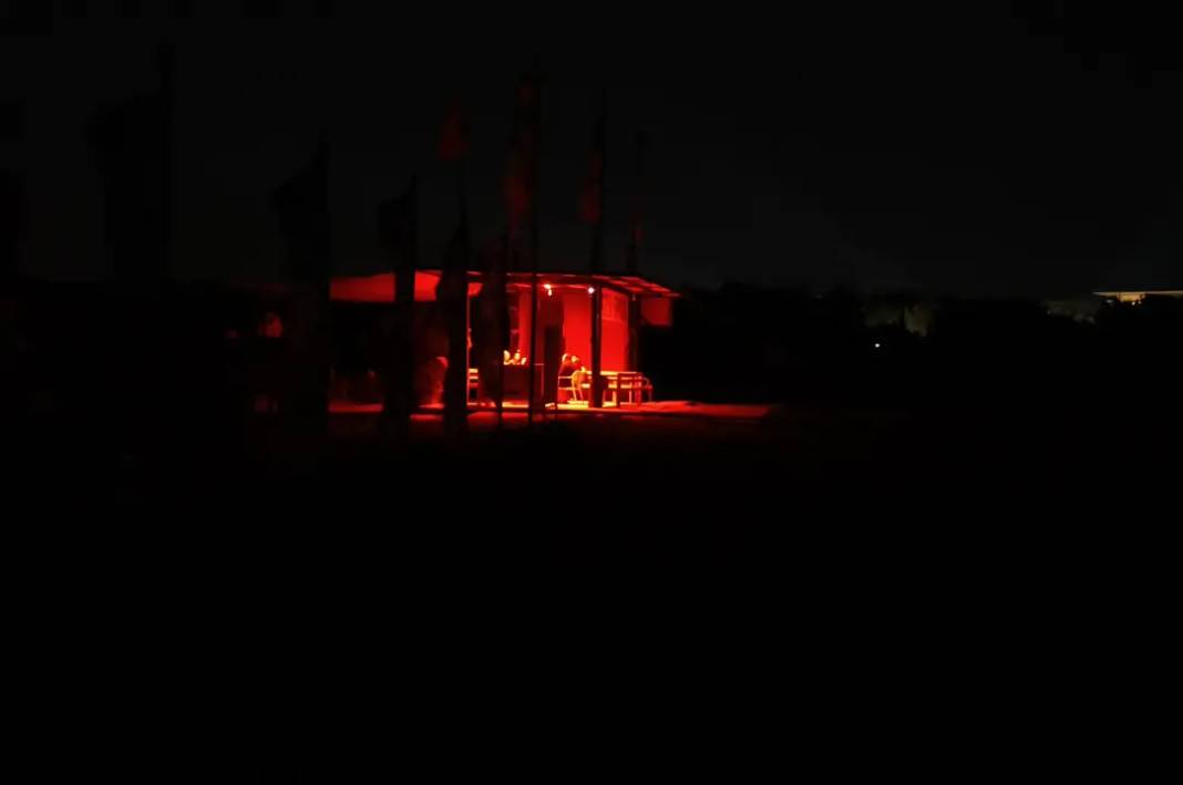 Yavru Carettaları Kırmızı Işık Kurtaracak! 8